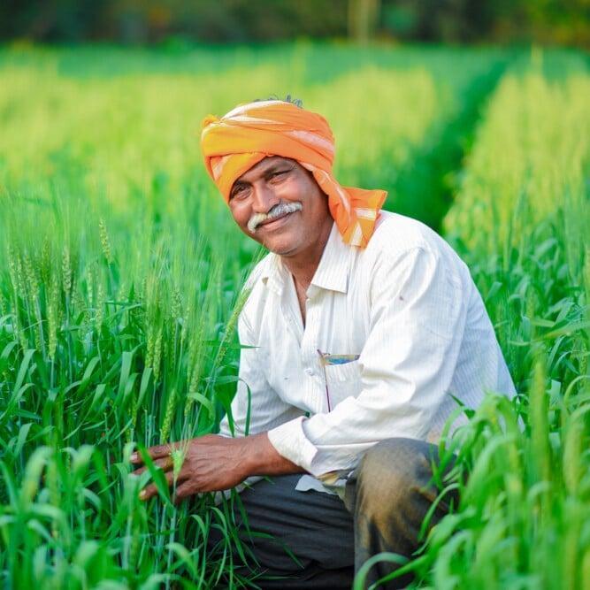 Pazhzni Farmer
