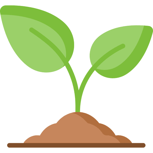Plant PNG image