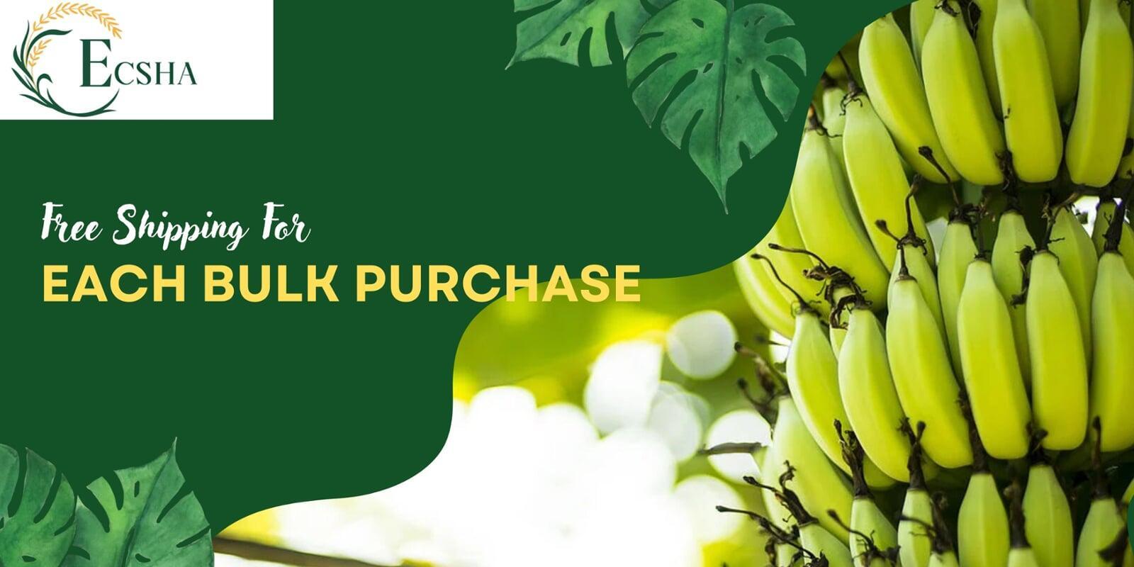 free shipping offeer